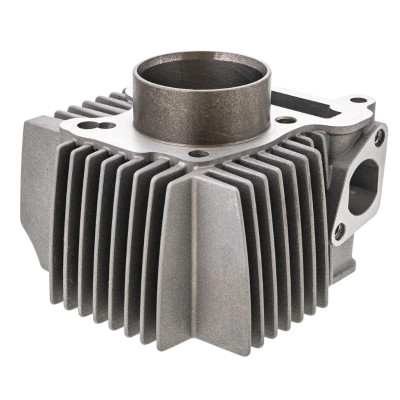 Polaris Outlaw 110 Engine Cylinder