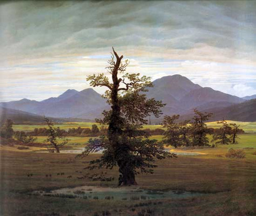 Fine Art Prints Landscape with a solitary tree, mountains in background, by David Caspar Friedrich, 22x28 inches, oil on canvas, serene natural scenery with cloudy sky.