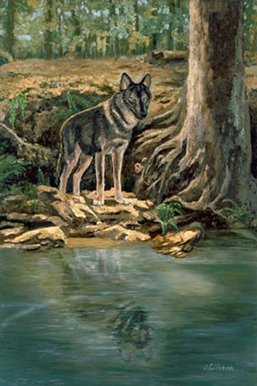 Indian Summer, Gibson (16X24)