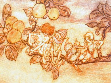 Apples and Fairies, Arthur Rackham (12X16)