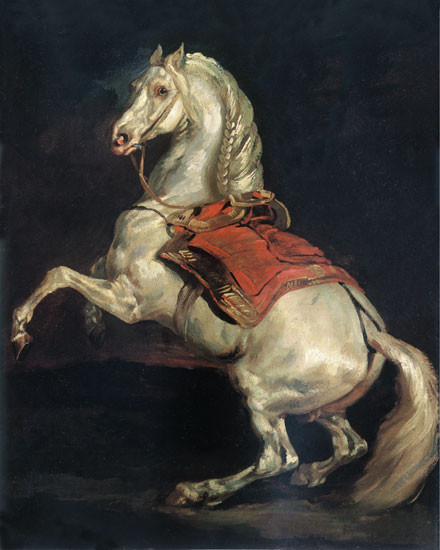 Napoleon's Stallion, Tamerlan, Gericault (16X20)