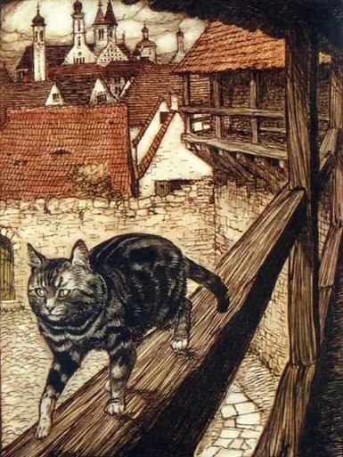 Cat, Arthur Rackham (9X12)