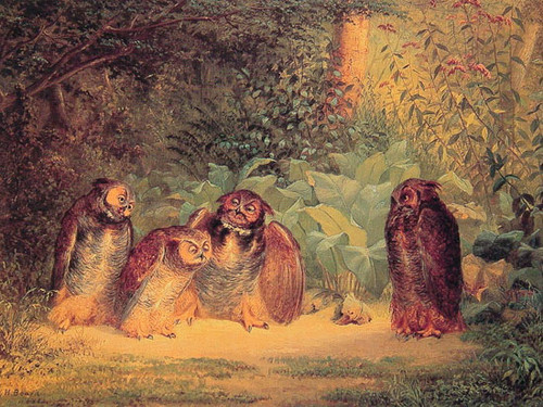 Owls, William Holbrook Beard (12x16)