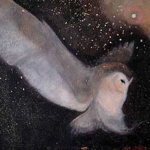 Fine Art Prints Starlight owl in flight against a starry night sky, soft gray and white hues with brown accents, 10x10 artwork by Jan Mankes.