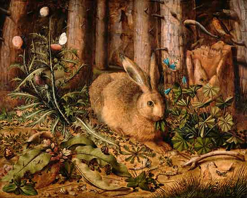 Fine Art Prints A hare in a forest, Hans Hoffman, 20x25, brown hare with long ears amidst green foliage, flowers, and trees, natural scenery.