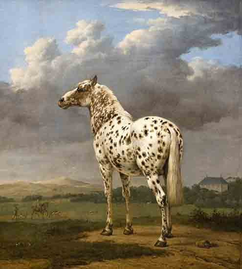Fine Art Prints Piebald Horse, Paulus Potter, white horse with brown spots, standing in a field, 18x20 inches, landscape painting, cloudy blue sky background.