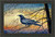 Morning Has Broken, Gibson (14X22)