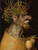 Winter, Giuseppe Arcimboldo, (16X21)