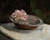 Still Life, Abbott Handerson Thayer (22x27)