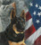 Patriot, Joyce Gibson (17.5X19.5)