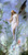 The Lily Fairy  (12X23)