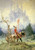 Parzival, Martin Wiegand (15.5X22)