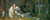 The-Lady of Shalott, Rheam (14X34)