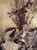 Fairies Dancing, Arthur  Rackham (16X21.5)