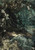 Fine Art Prints A Midsummer Night's Dream by Rackham, 12x17 illustration of Titania in forest, reclining on rock amidst foliage and flowers.