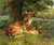 Fallow Deer, Wright Barker (18.5X22)