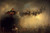 Santa Claus, William Holbrook Beard  (22X33.5)