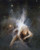 The Falling Star, Witold Pruszkowski (17.6X22)