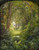 Fine Art Prints Woodland Landscape by Richards, 22x28 inches, serene forest scene with lush greenery and trees surrounding a tranquil stream or pathway, natural light.