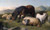 Fine Art Prints Sheep and a pony in a field, brown horse, white and beige sheep, landscape painting by Richard Ansdell, 16x27 inches.