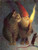Cat and Gnome, Helje, 10 X 13