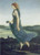 The Evening Star, Burne-Jones   (16X23)
