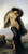 Evening  Mood, Bouguereau (16X31.5)