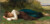 Fine Art Prints Repose, a serene painting by Bouguereau, depicts a young woman lying on grass, wearing a white blouse and brown and blue dress, 16X34 inches.