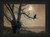 Chat du Clair de Lune, black stairstep frame
