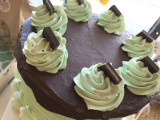 Chocolate Mint Cake