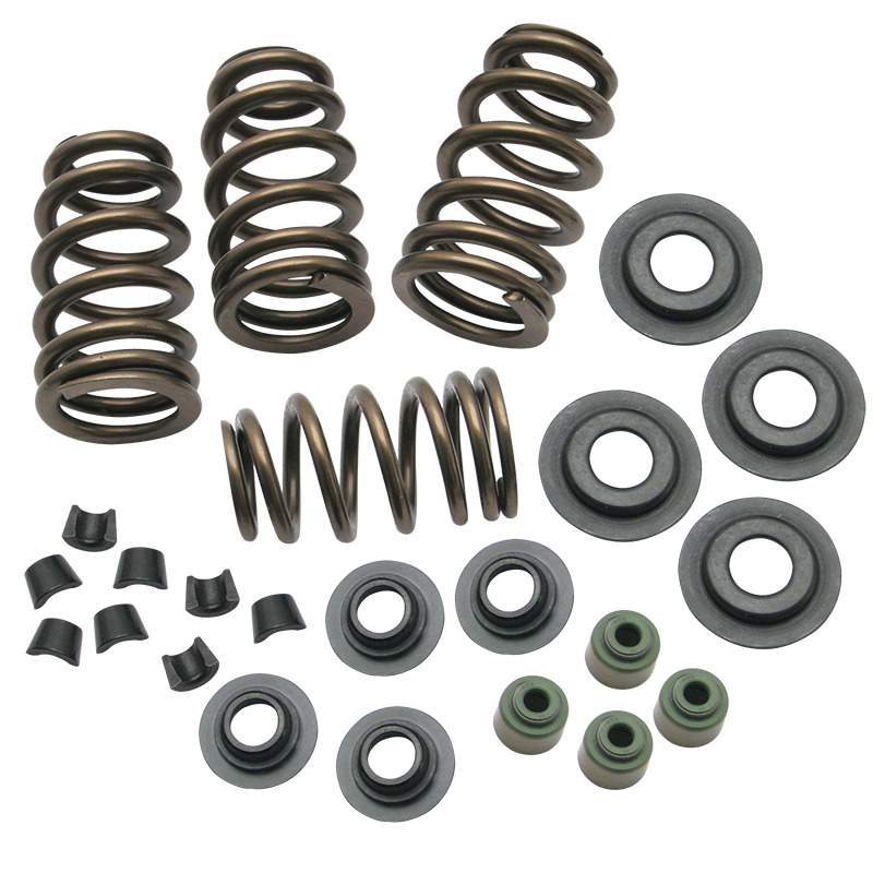 Sidewinder® .650" Valve Spring Kit for 2005-'18 Big Twins and 2004-'19 HD® Sportster® Models