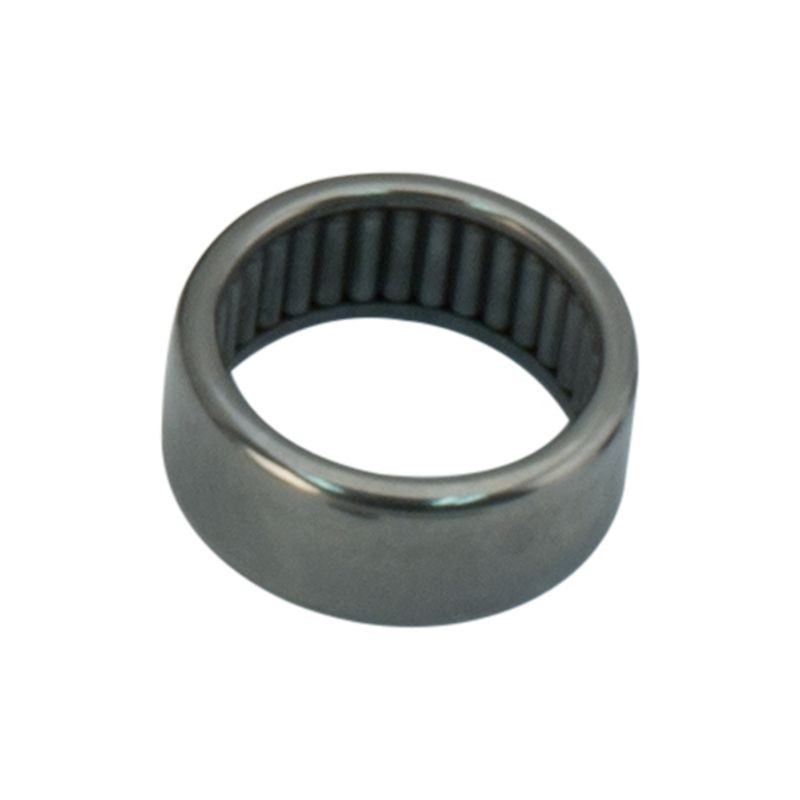 Inner Cam Needle Bearing, 2017-2021