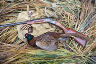 How to Find the Perfect Pheasant-Hunting Shotgun