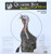 QUAKER BOY PAPER TARGET TURKEY