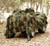 RED ROCK GHILLIE BLIND 5'X12'