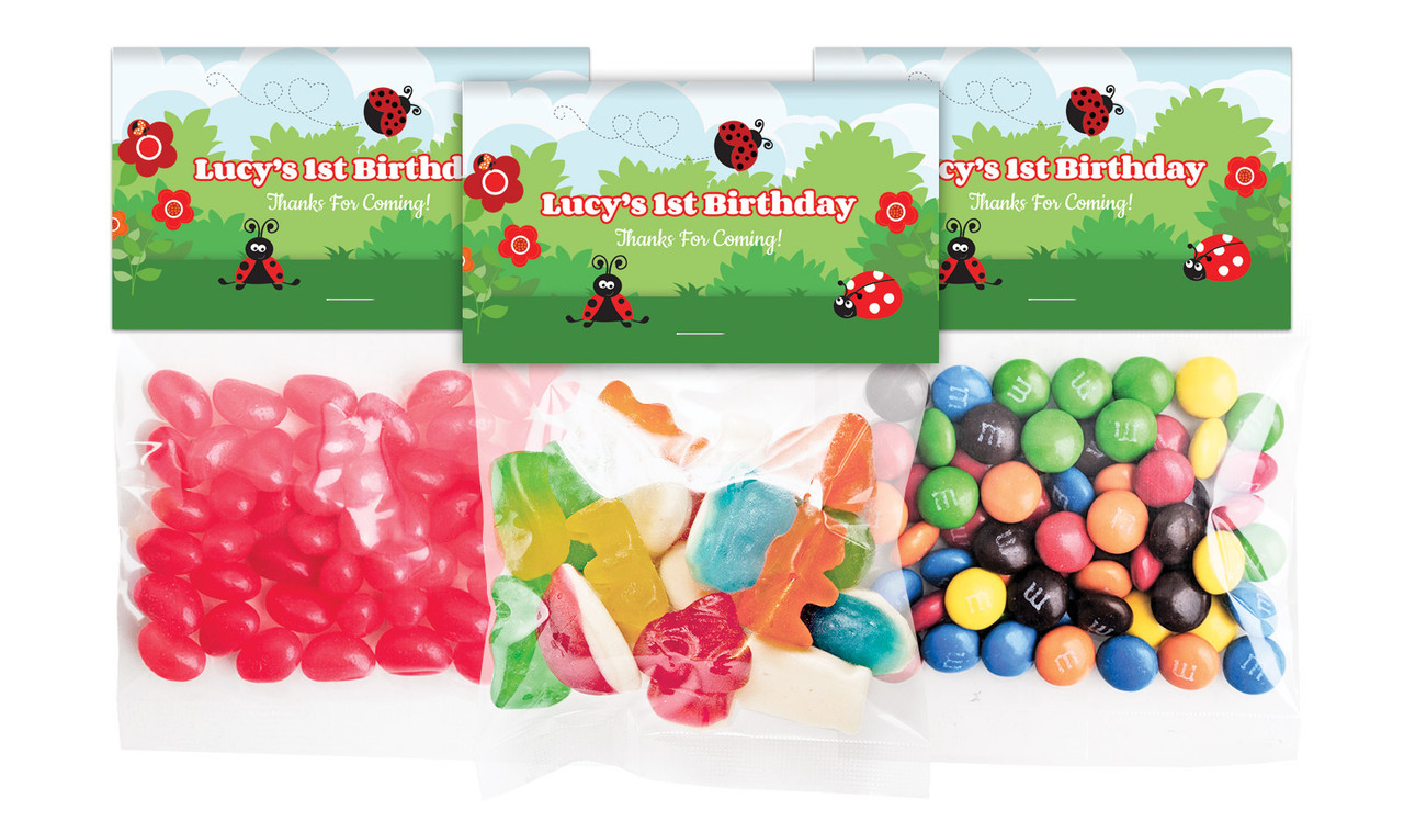 Lady Bug Birthday Personalised Lolly Bag With Topper