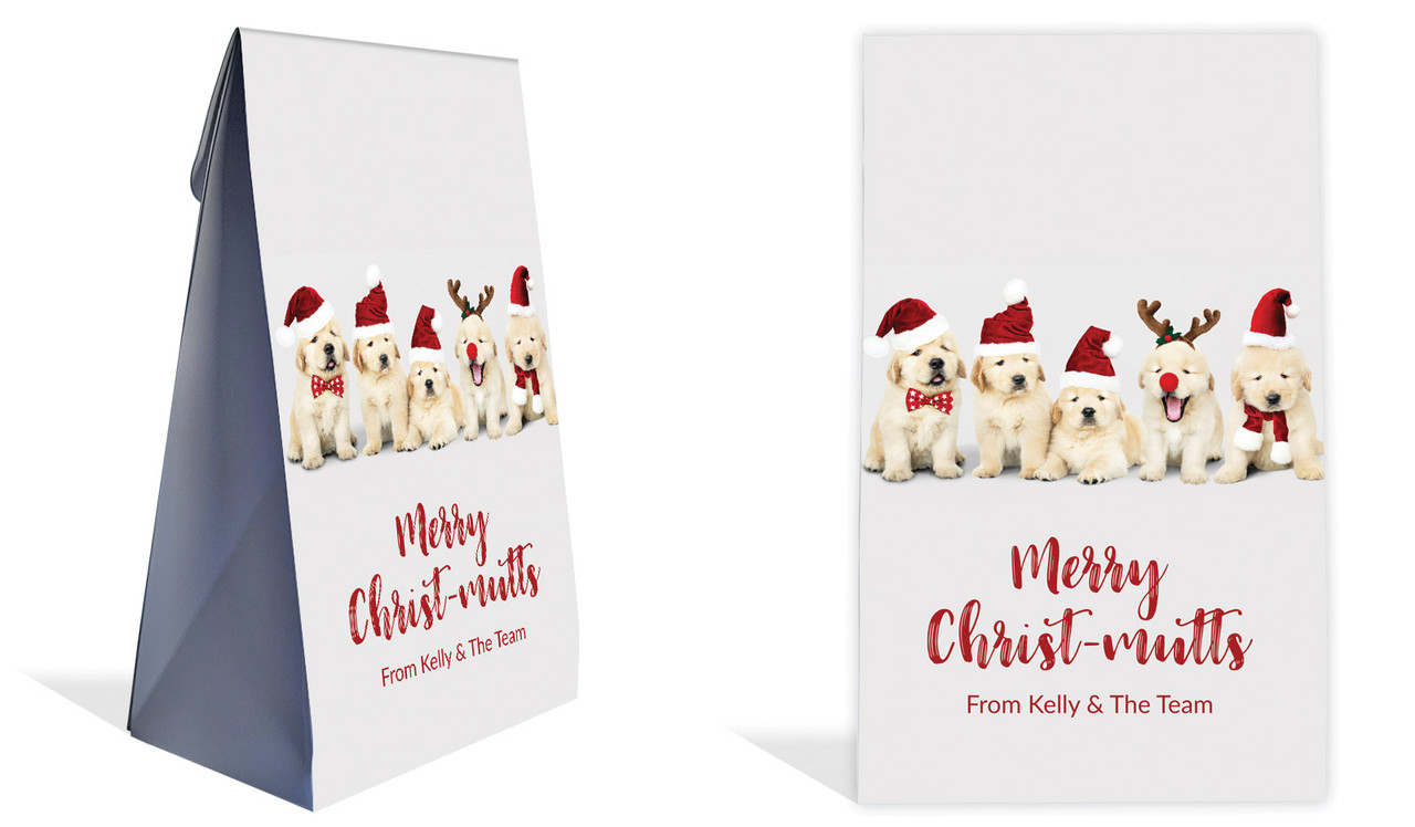 Gorgeous Puppies Christmas Personalised Gusset Favour Bag