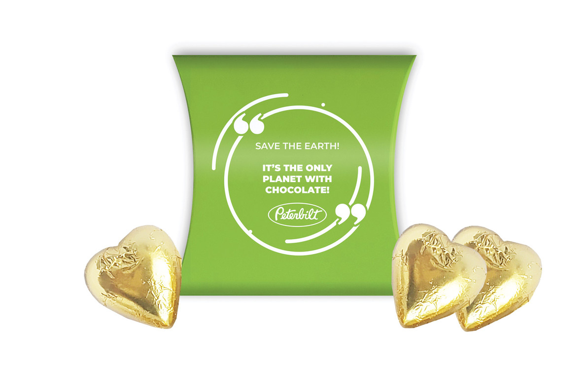 Save The Earth Meme Personalised Pillow Boxes