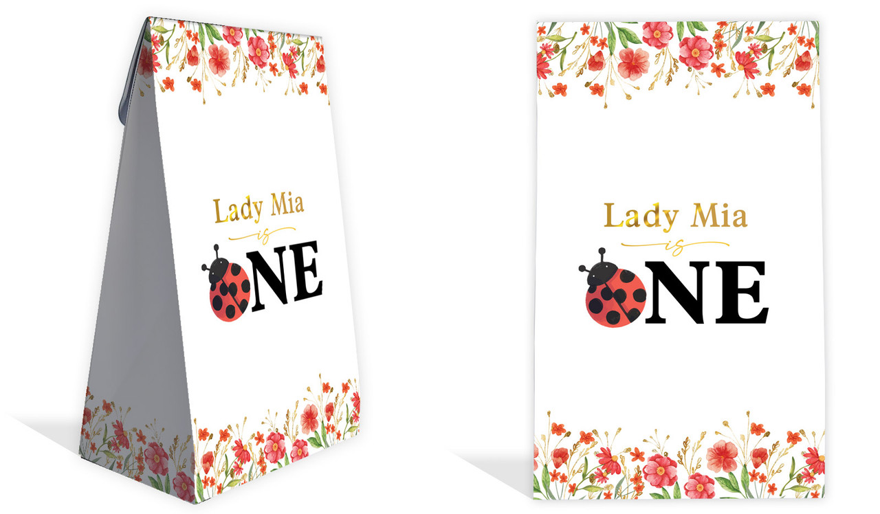 Lady Bug 1st Birthday Party Personalised Gusset Favour Bag