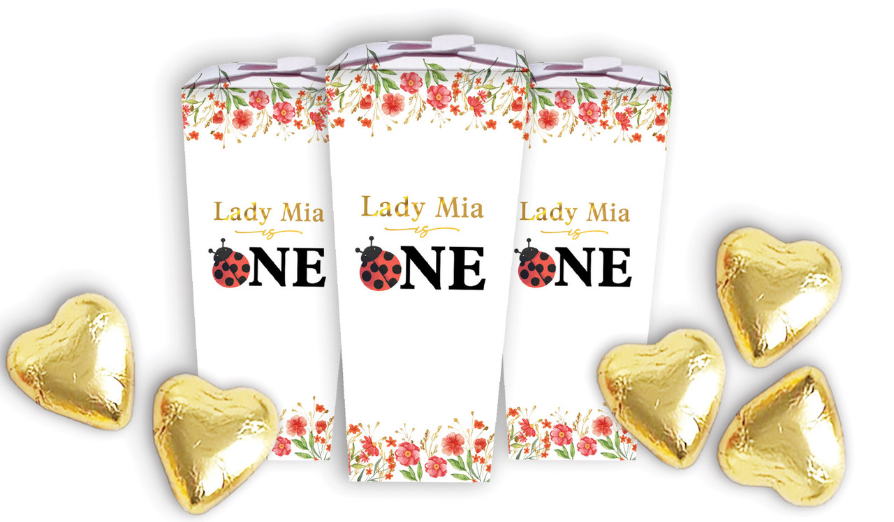 Lady Bug 1st Birthday Custom Chocabox