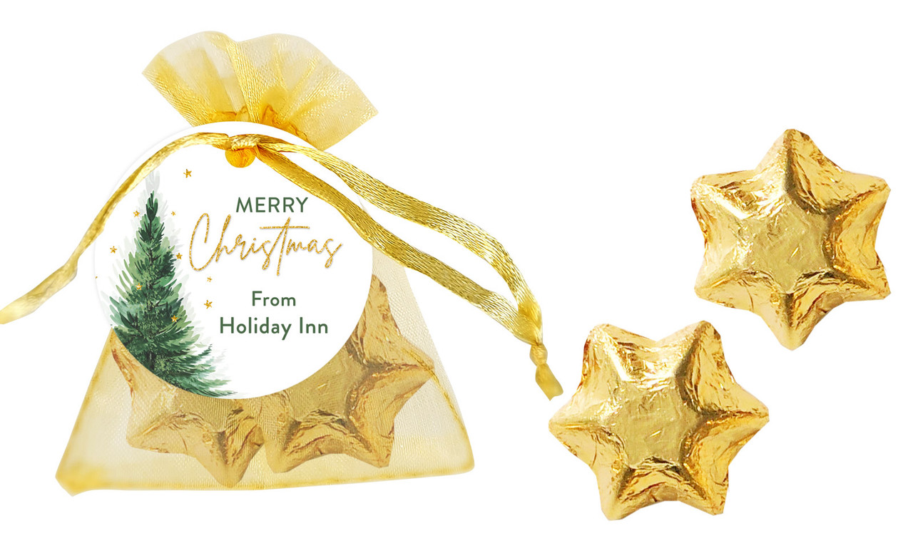 Simple Spruce Christmas Organza Bag With Swing Tag
