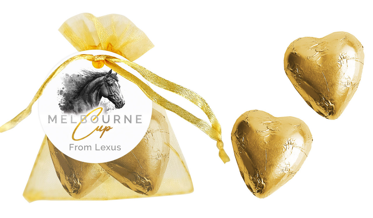 Dark Horse Melbourne Cup Horse Racing Organza Bag
