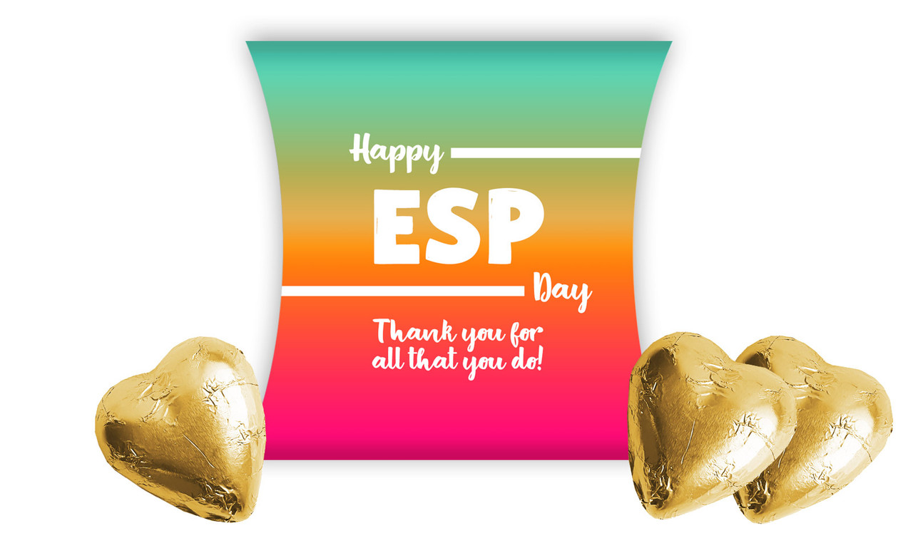 Education Support Personnel Day Pillow Boxes