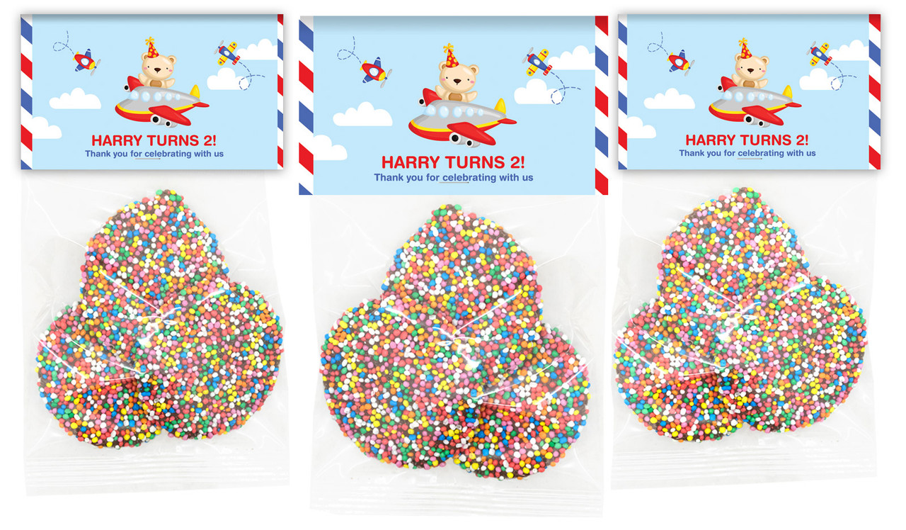 Bear Air Plane Birthday Party Personalised Speckle Bags