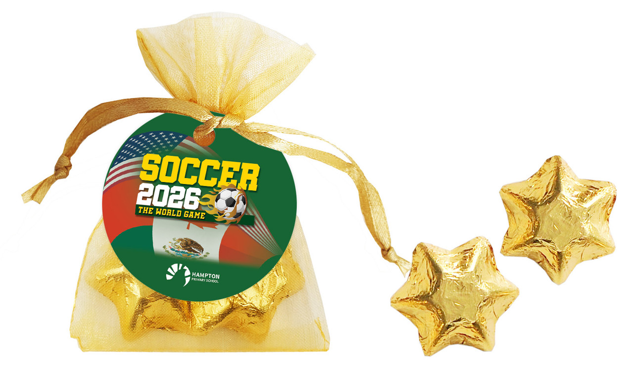 Soccer Championship Organza Bag