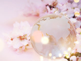 Your Wedding Should Not Cost The Earth - Literally