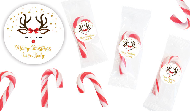 Reindeer Face Personalised Mini Candy Canes