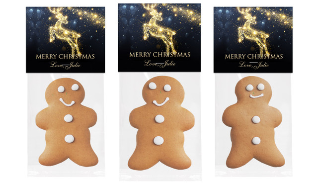 Glowing Reindeer Gingerbread Man With Topper