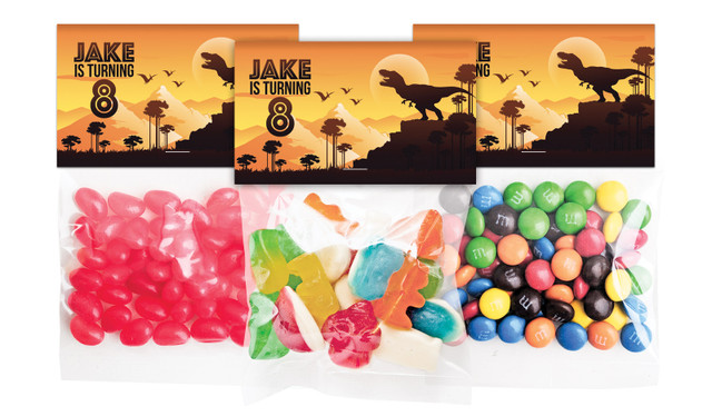 Prehistoric Dinosaur Birthday Personalised Lolly Bag With Topper