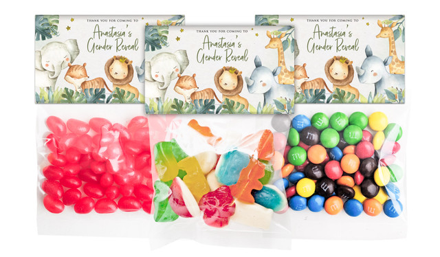 Animals On Safari Gender Reveal Personalised Lolly Bag With Topper